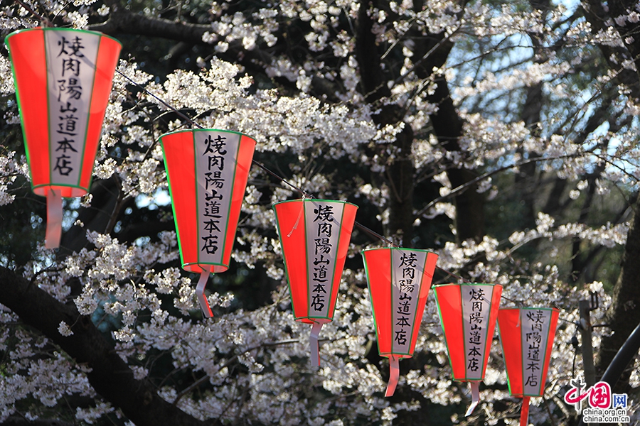 上野公园的樱花祭是各大企业社团宣传自己的好机会