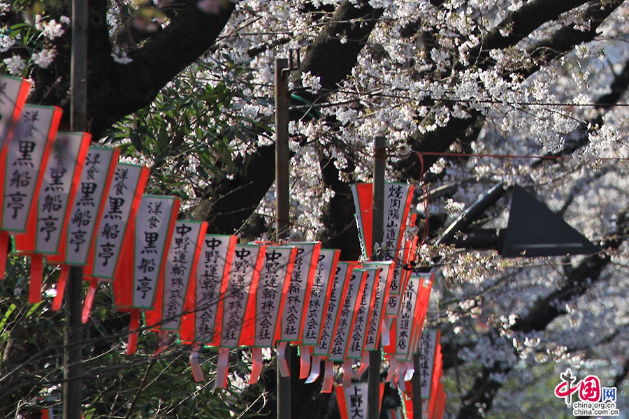 上野公园的樱花祭是各大企业社团宣传自己的好机会