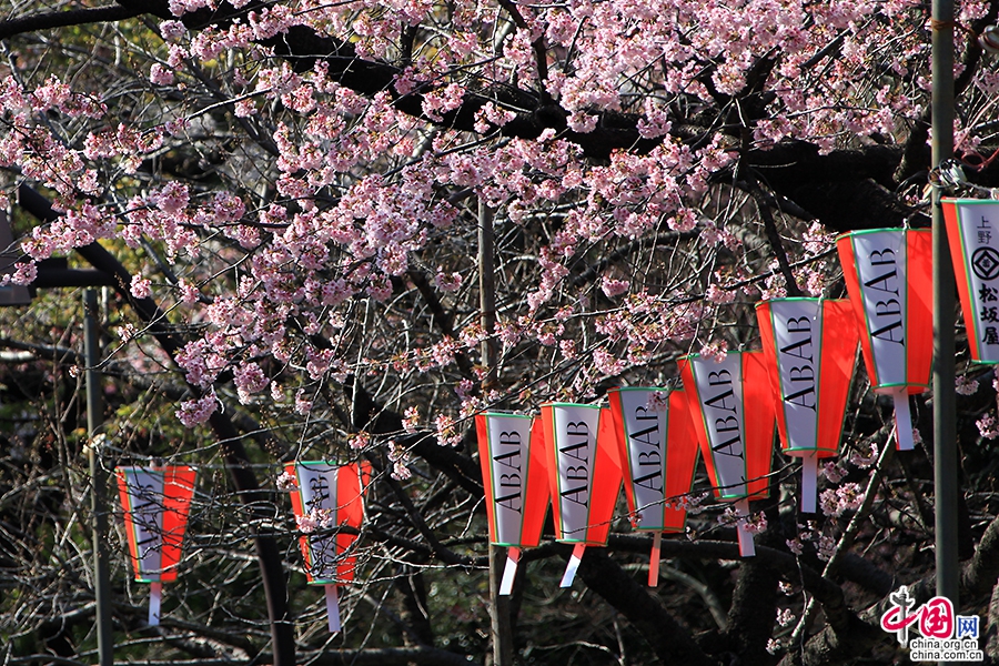 上野公园的樱花祭是各大企业社团宣传自己的好机会