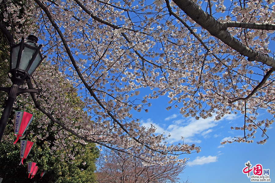 隅田川風景秀麗