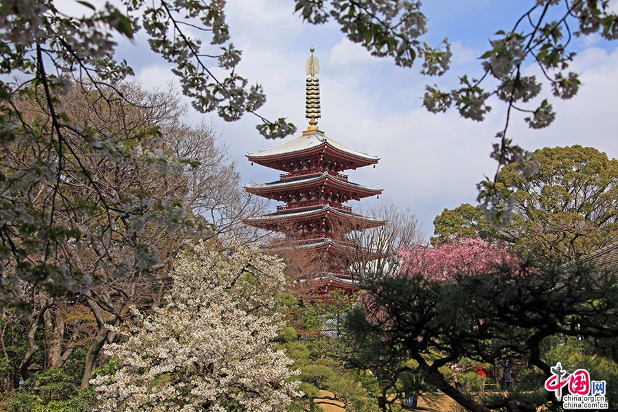 传法院庭园借景浅草五重塔