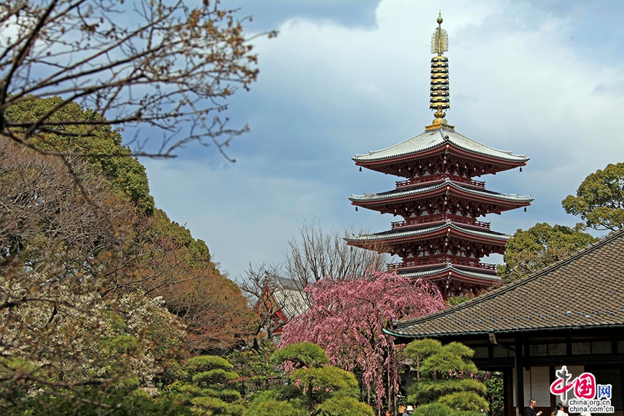 傳法院庭園借景淺草五重塔