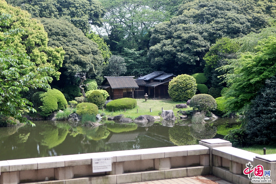 东京国立博物馆内的日式庭园