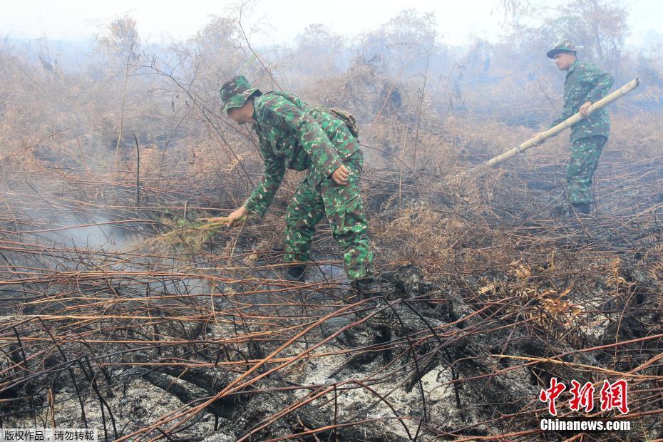 印尼大片泥炭地火灾 烟雾弥漫政府当街发口罩