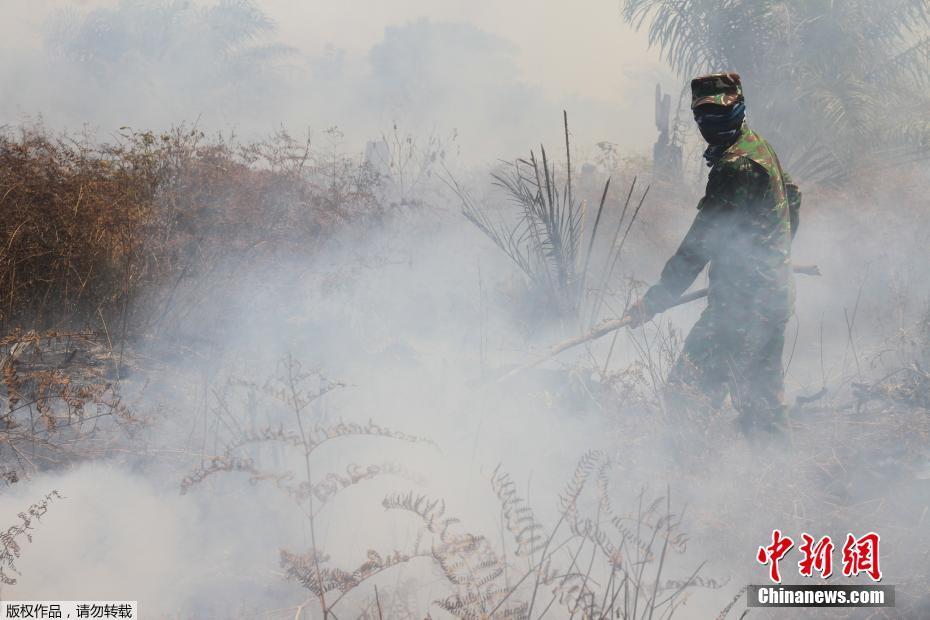 印尼大片泥炭地火灾 烟雾弥漫政府当街发口罩