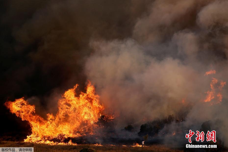 希腊雅典附近山火肆虐 直升机参与灭火