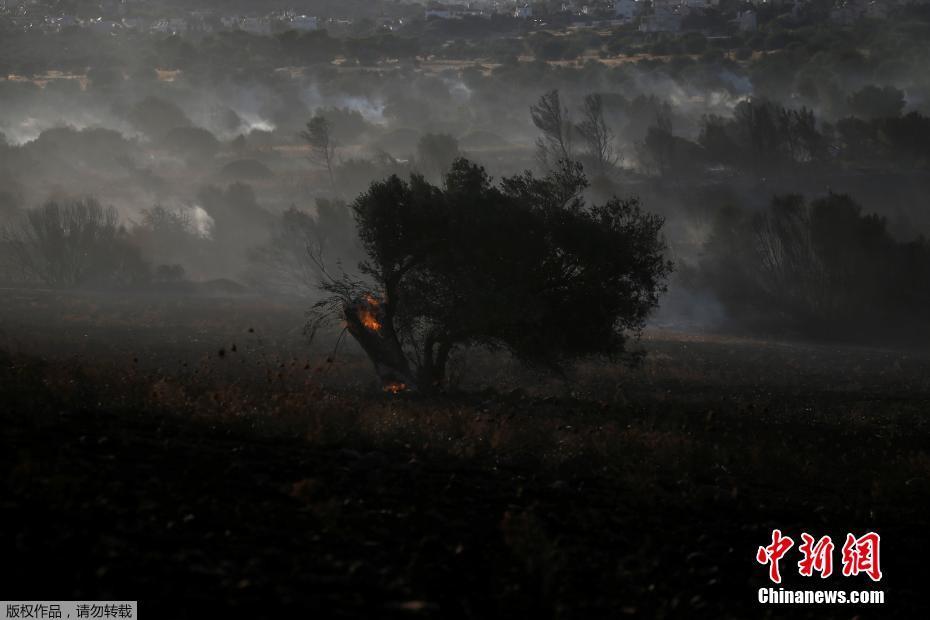希腊雅典附近山火肆虐 直升机参与灭火