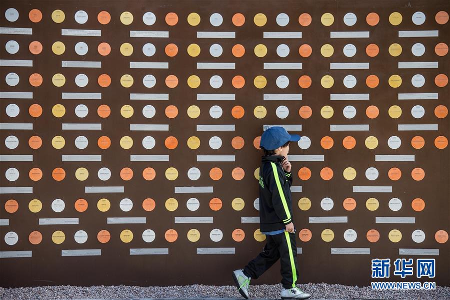 8月5日，一名男孩在里约奥运公园内的冠军墙旁经过。