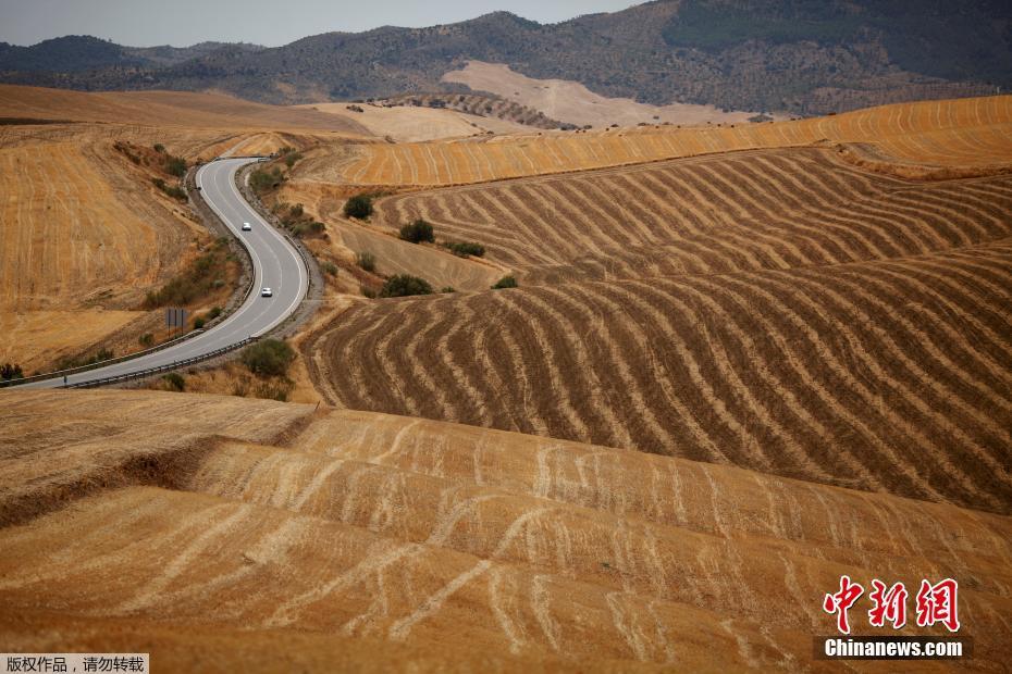 西班牙遭遇严重干旱 土地龟裂触目惊心