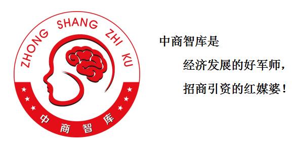 中商智库用招商引资实战能力说话