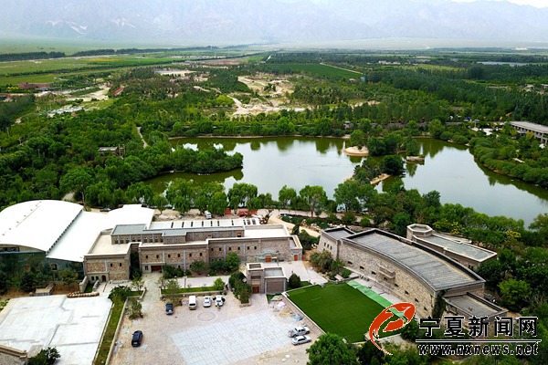 贺兰山东麓芳香经济如花绽放紫色梦想正在实现