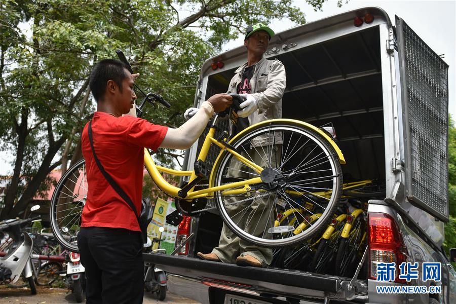 8月15日，在泰国曼谷的泰国国立法政大学，两名工人投放ofo小黄车。