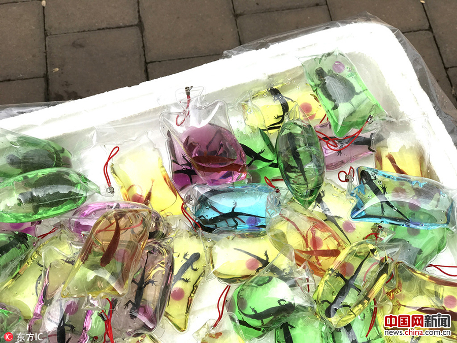 活鱼被做手机挂饰出售 游客怒斥商贩太残忍