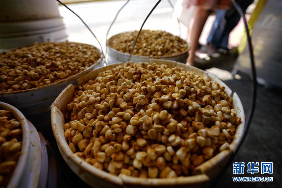 这是8月15日在墨西哥首都墨西哥城圣佩德罗阿托克潘磨坊内拍摄的玉米。