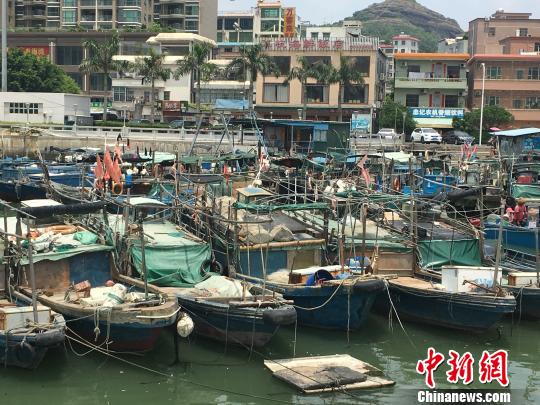 “天鸽”逼近惠州组织出海捕鱼人员和船只上岸避险