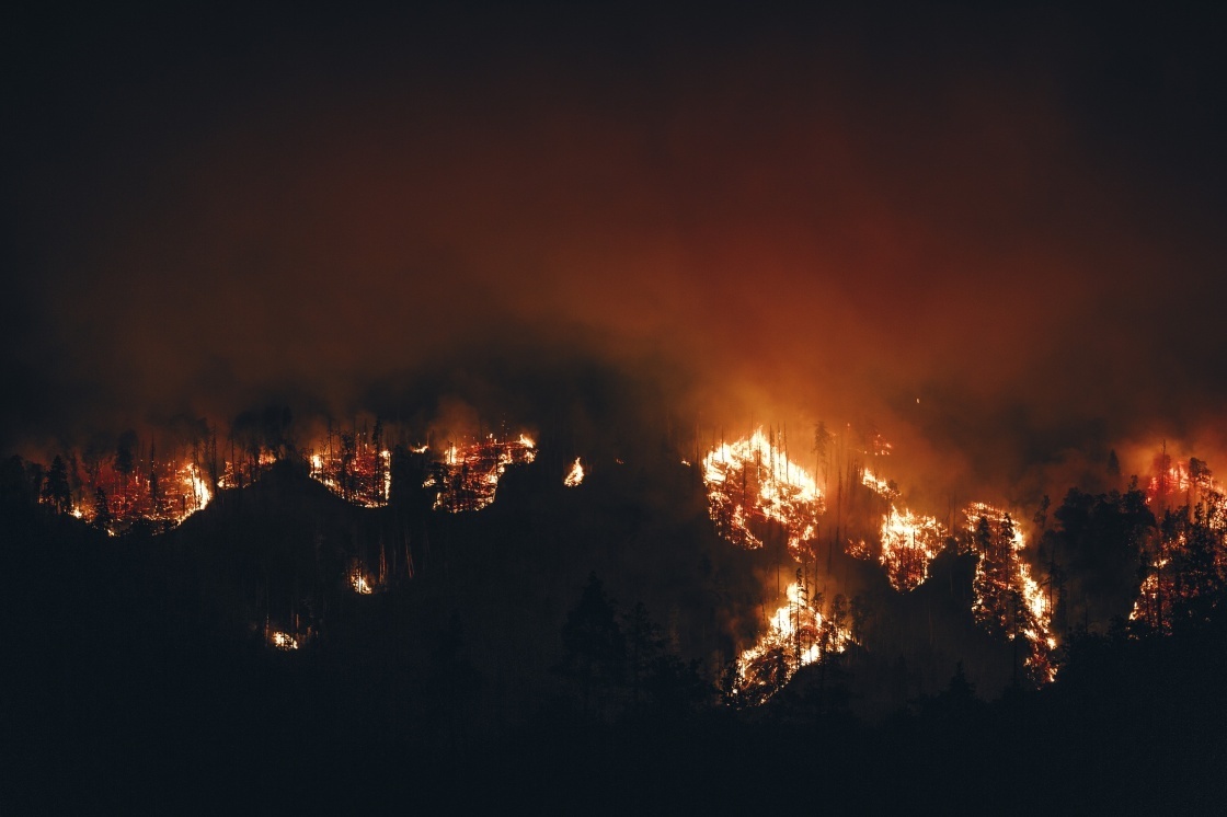 格鲁吉亚中部山火仍在蔓延