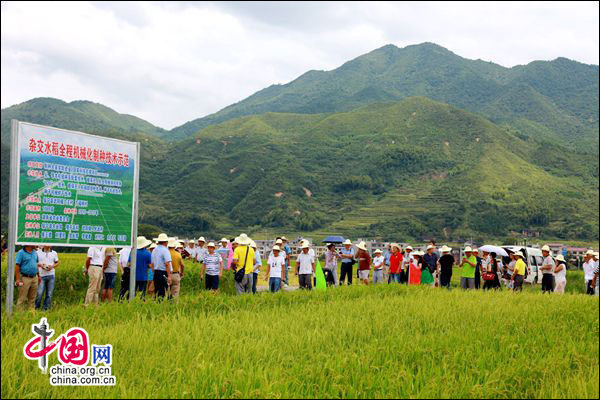 绥宁县人口_湖南省一个县,建县历史超900年,名字取 绥之以宁 之意(3)