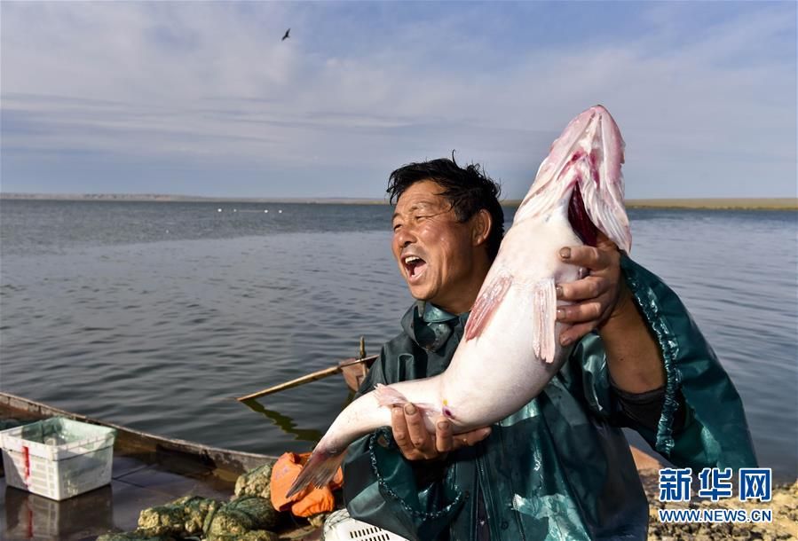 从江南到新疆的捕鱼人( 02 / 10 )
