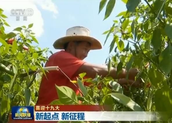 這五年百姓獲得滿滿幸福感 以實幹喜迎十九大