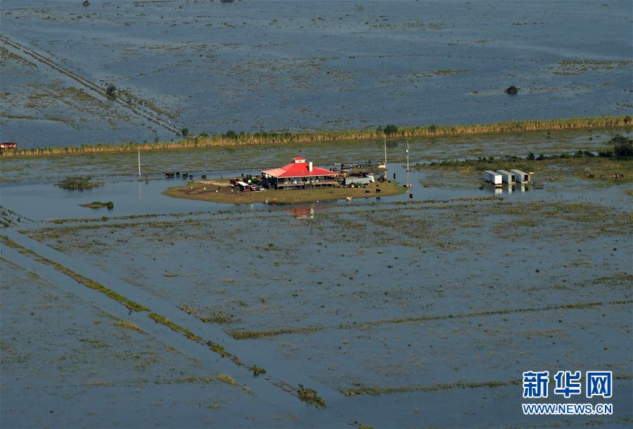 这张9月1日的航拍照片显示，美国得克萨斯州休斯敦一处农场被飓风“哈维”引发的洪水围困。