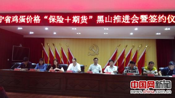 辽宁首个鸡蛋价格“保险+期货”创新试点项目成功落地 辽宁首个鸡蛋价格“保险+期货”创新试点项目成功落地