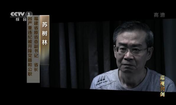 中纪委巡视专题片首播 披露王珉等多名'老虎'落马细节