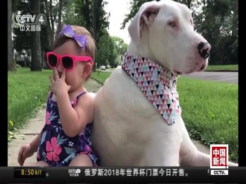 美国：1岁半女孩和残疾小狗互帮互助