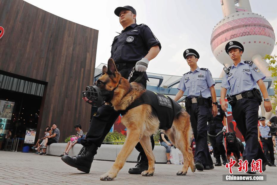 上海警犬基地图片