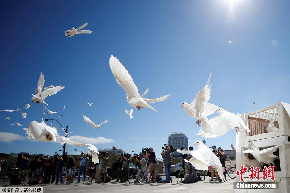 美国拉斯维加斯市政厅举行活动悼念枪击案遇难者，市政广场放飞白鸽。
