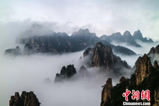 安徽打造“长三角”生态后花园：拟建8个生态协作区