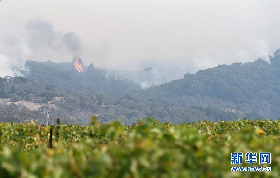 10月10日，在美国加利福尼亚州纳帕，林火在葡萄园附近燃烧。