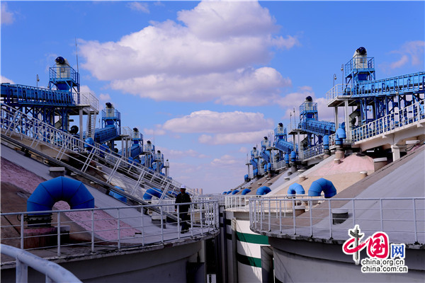 中储粮辽宁分公司:创新打造科技智能化粮库 中储粮辽宁分公司:创新打造科技智能化粮库