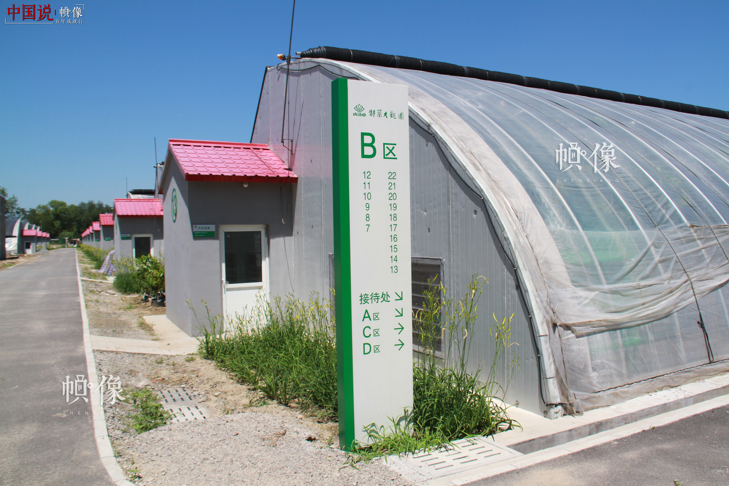 图为北京天安农业小汤山特菜基地蔬菜大棚。中国网记者 赵超 摄