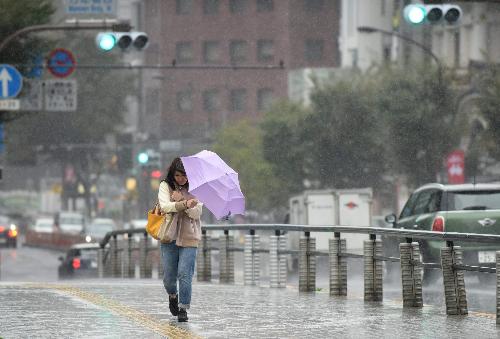 日本：超强台风“兰恩”登陆 至少5人死亡