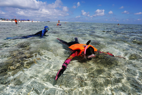资料图片：2014年9月3日，游客在西沙原生态岛屿银屿岛体验潜水。新华社发