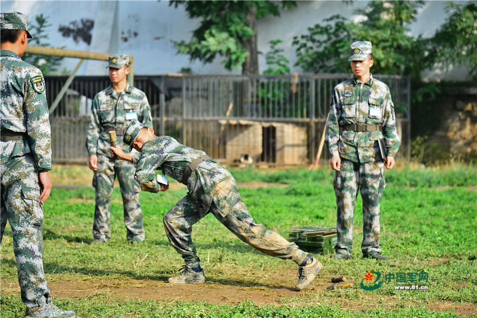 我们的"兵之初",手榴弹投掷比赛.