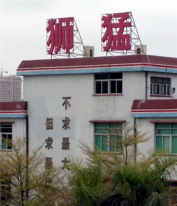 陈乐伍董事长率高管团队追寻猛狮足迹感怀猛狮精神