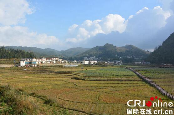 图片默认标题_fororder_5