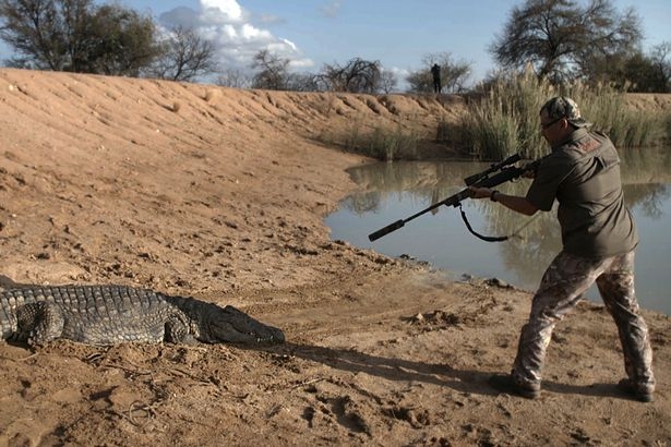 南非圈养濒危动物供猎手杀戮题材纪录片引发关