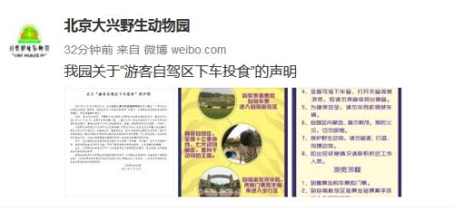 北京野生动物园证实游客下车砸熊 呼吁安全游园