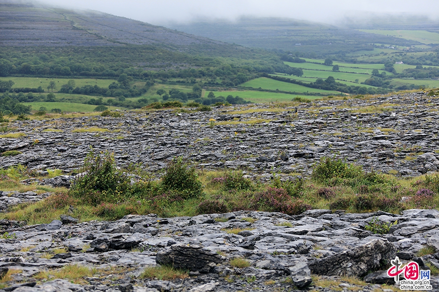 戈尔韦郡西部是康尼马拉低地