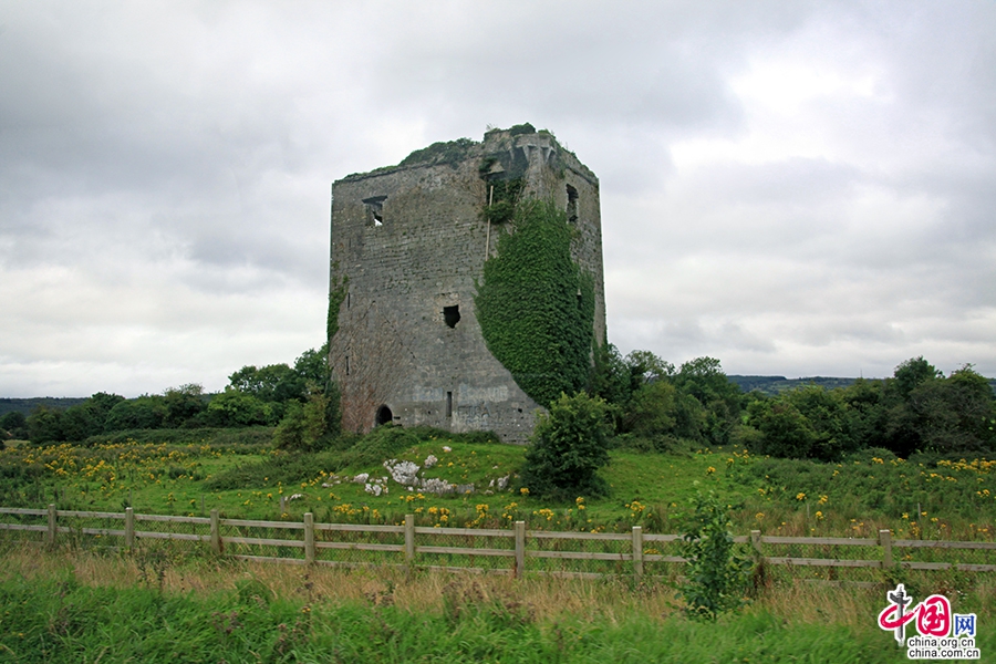 戈尔韦郡历史建筑遗址