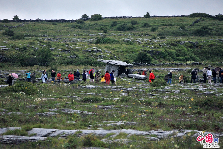 戈尔韦郡历史建筑遗址