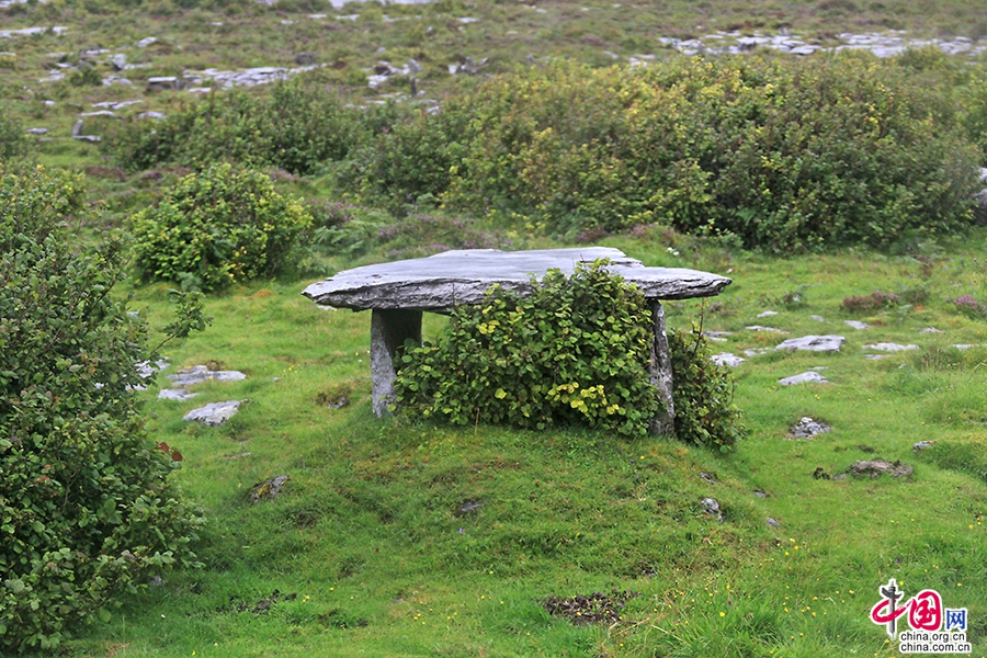 戈尔韦郡历史建筑遗址