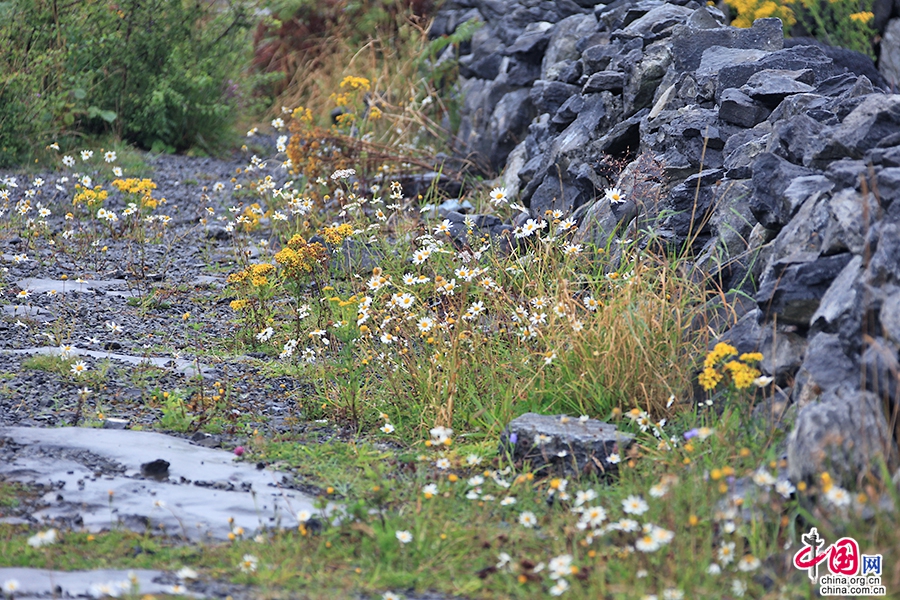 戈尔韦郡优美的山地风光