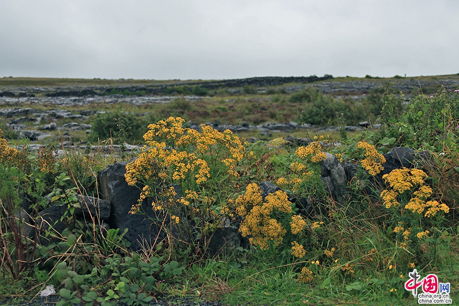 戈尔韦郡优美的山地风光