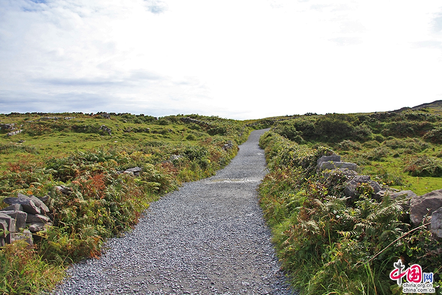 通往安格斯堡的小径