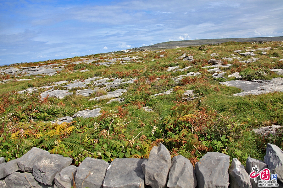 在山间回望因希莫尔岛风光