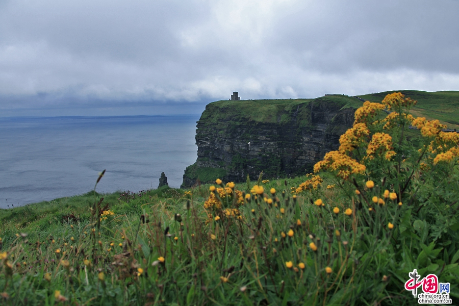 莫赫悬崖沿着西海岸覆盖达8千米