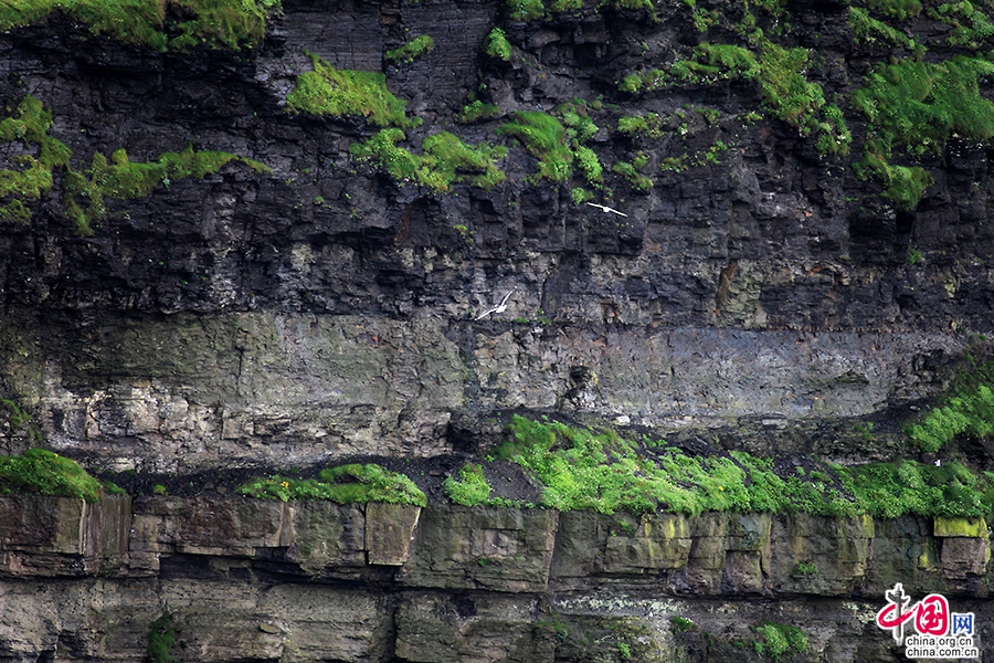 莫赫悬崖黑褐色的峭壁呈锯齿状